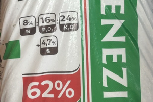 Genezis